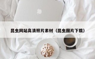 安徽昆虫网站高清照片素材（昆虫图片下载）
